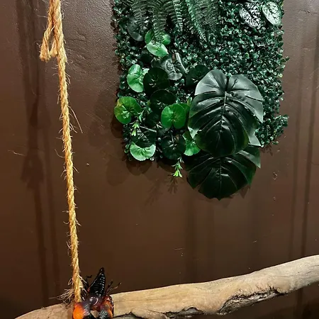 Lejlighed La Taniere De Mowgli - Du Mole Agde