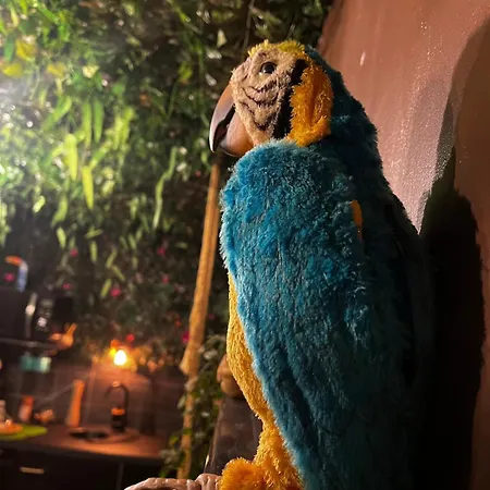 La Taniere De Mowgli - Du Mole Lejlighed *