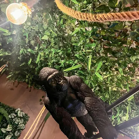 La Taniere De Mowgli - Du Mole Lejlighed Agde