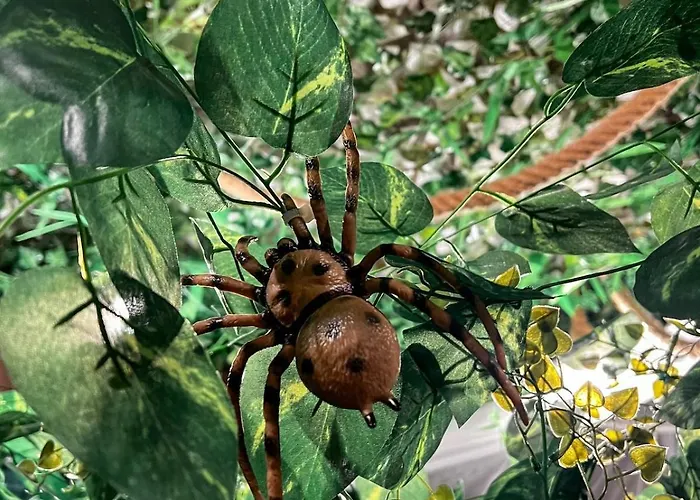 La Taniere De Mowgli - Du Mole 아파트