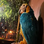 La Taniere De Mowgli - Du Mole 아파트 *