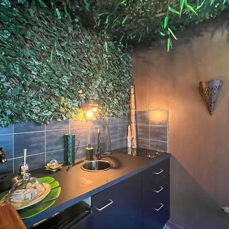 La Taniere De Mowgli - Du Mole 公寓 阿格德