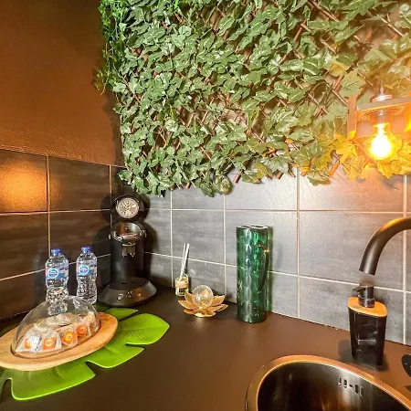 公寓 La Taniere De Mowgli - Du Mole 阿格德