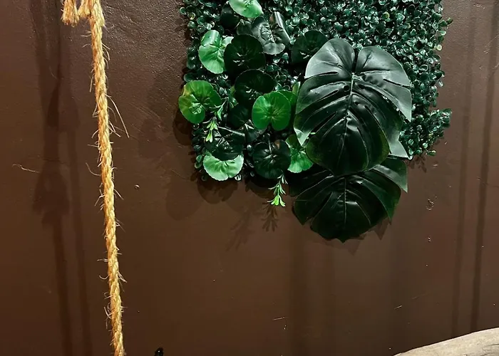 Apartamento La Taniere De Mowgli - Du Mole Agde