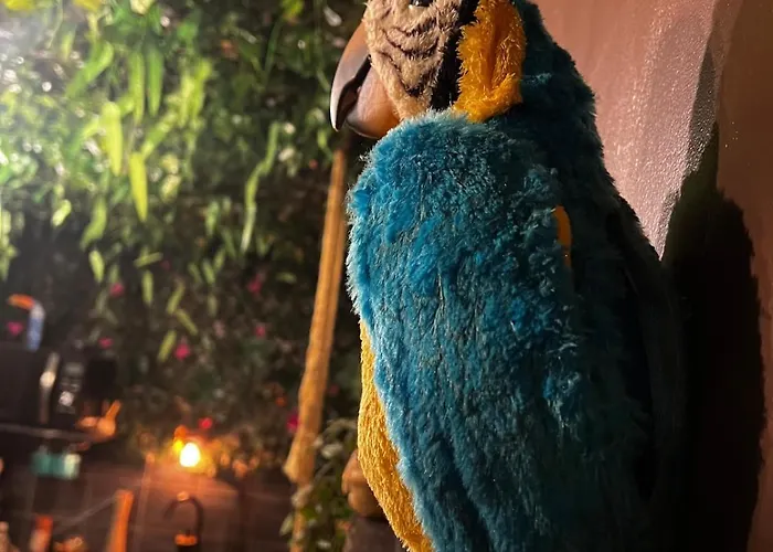 La Tanière De Mowgli - Du Môle Appartement *