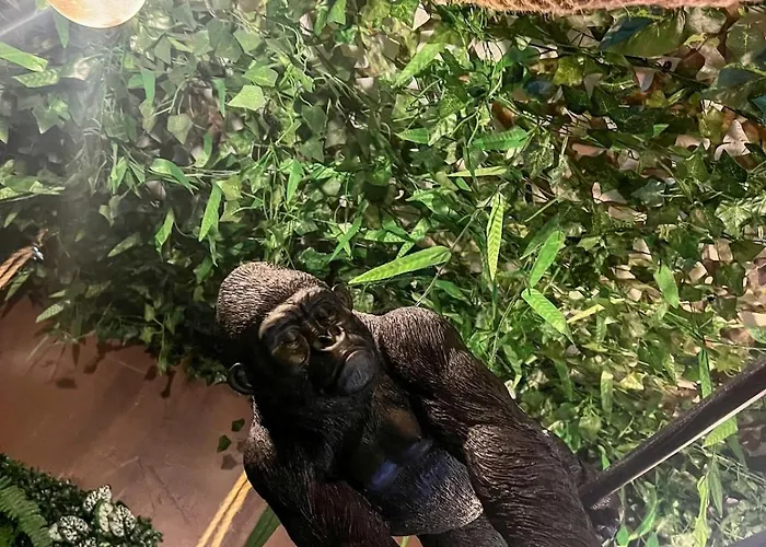 La Tanière De Mowgli - Du Môle Appartement Agde