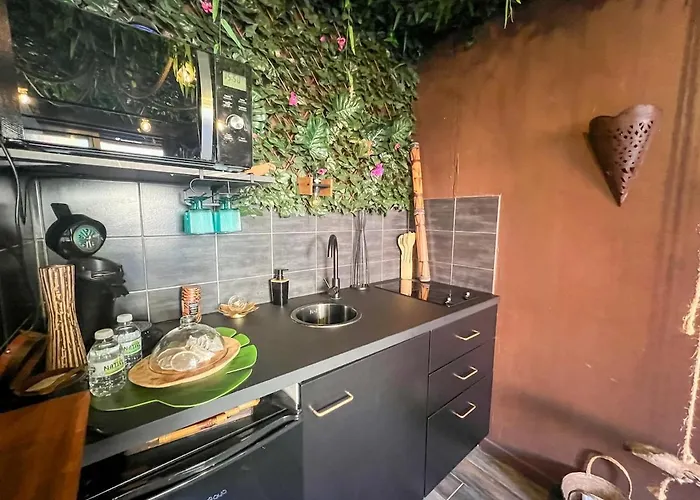 La Taniere De Mowgli - Du Mole