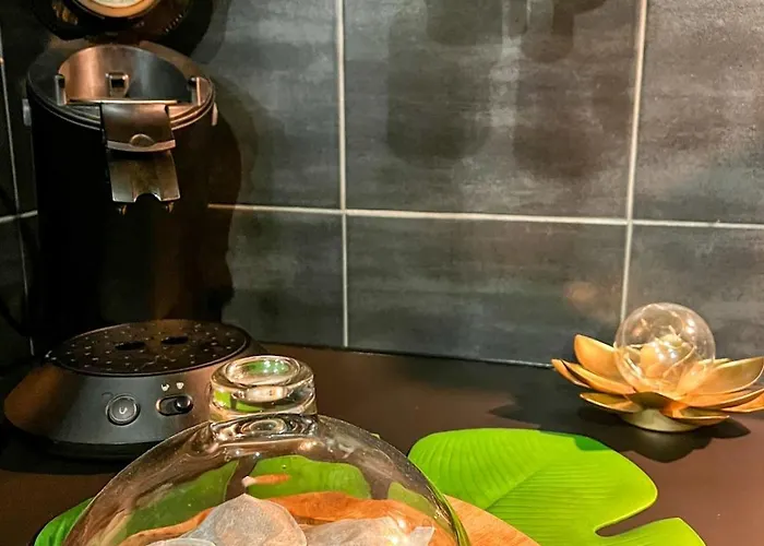 La Taniere De Mowgli - Du Mole Agde